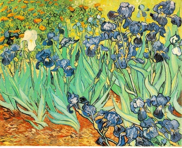 6. Irises (Vincent van Gogh)